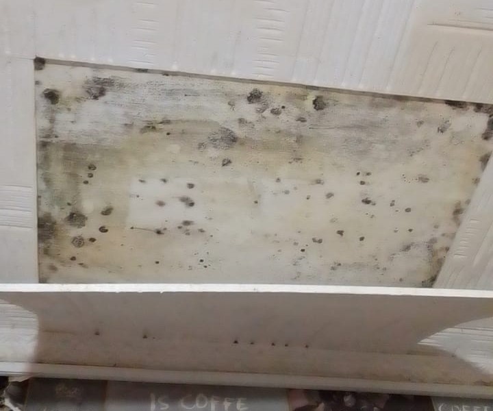    Фото: Амур.инфо