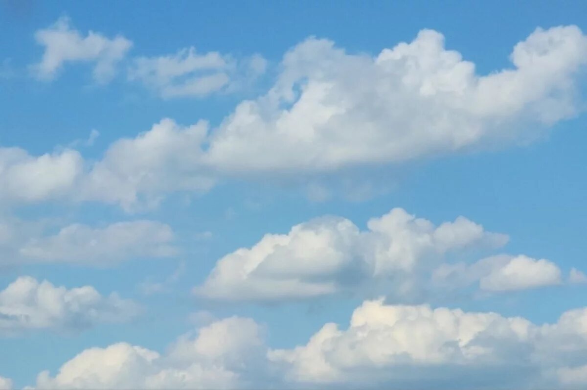    На Кубани 4 декабря воздух прогреется до +5 градусов