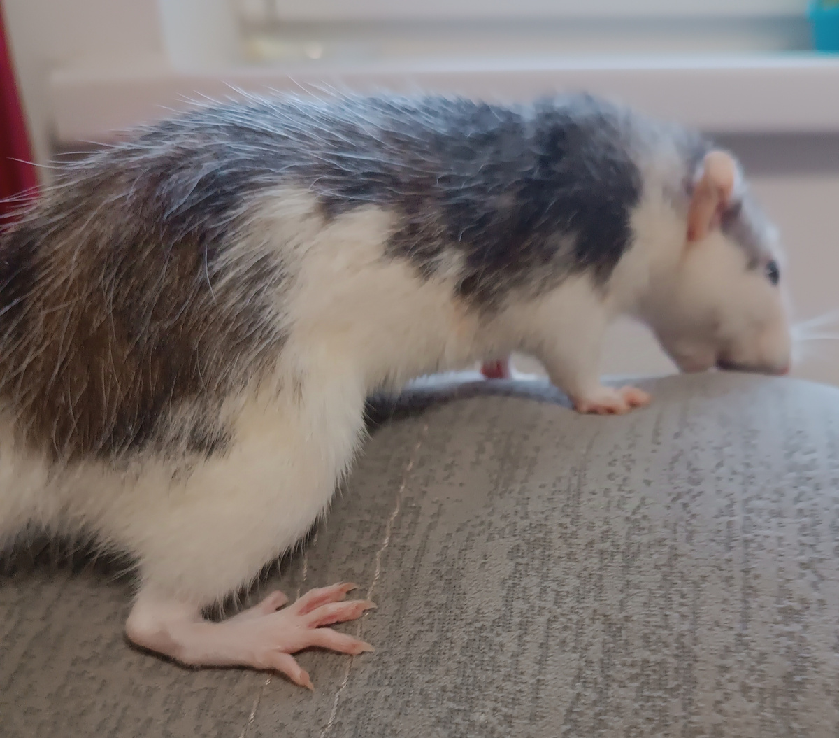 Кажется, здесь кто-то был ..