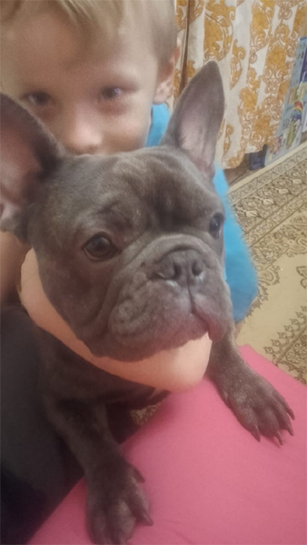 Слаженный дуэт