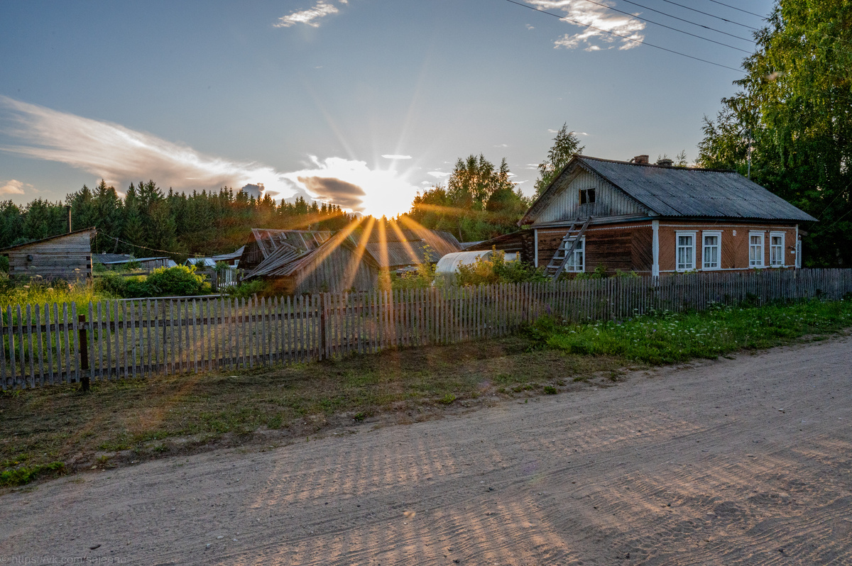 Фоточка для карточки. Фото автора. поселок Куликово Архангельская область, июль 2024