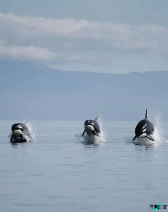 ДЭВУ журнал | Картина для рабочего стола и стихитворение✨