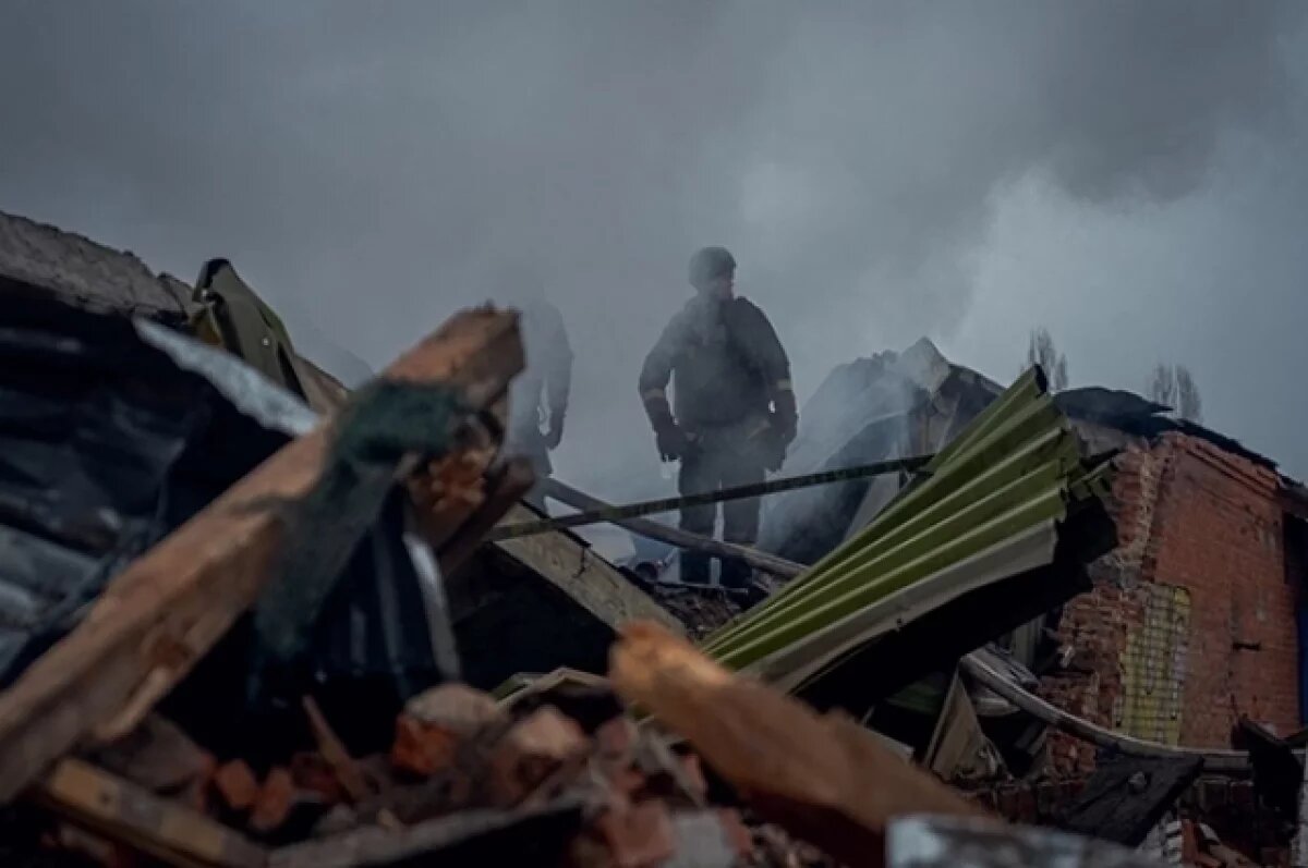    Мордобой заказывали?