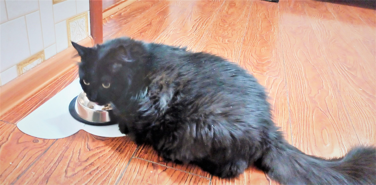 Благодарю за фото НАТАЛЬЮ)