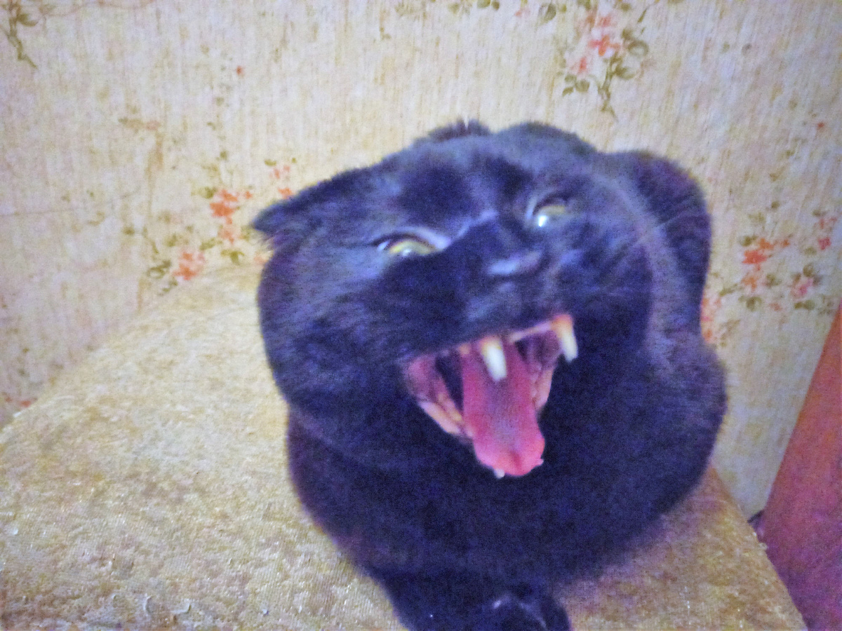 Благодарю за фото Марину АБРОЧНОВУ)