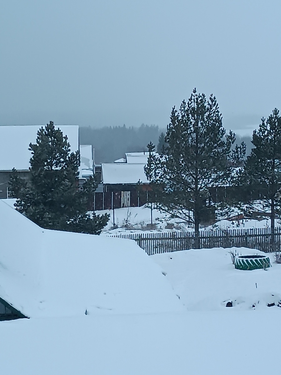 Утро в деревне