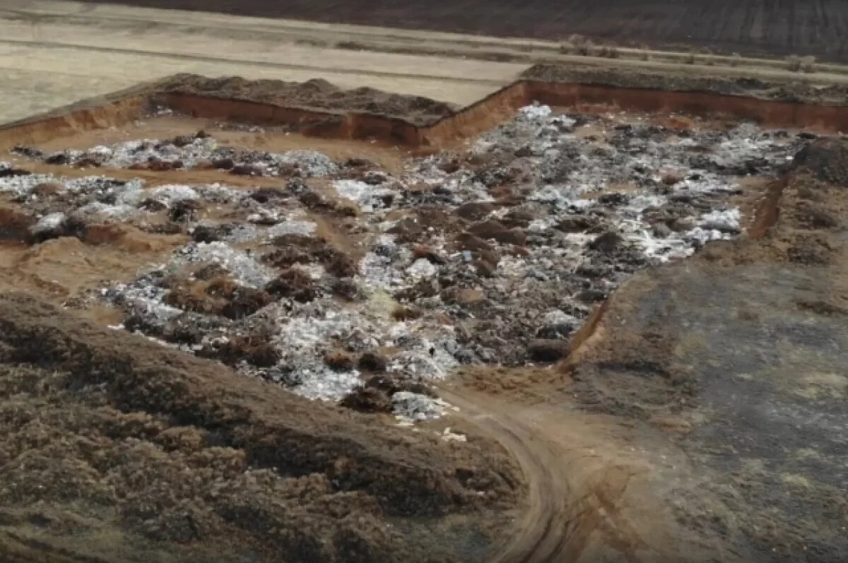    20 свалок в Оренбуржье могут ликвидировать в рамках нового нацпроекта