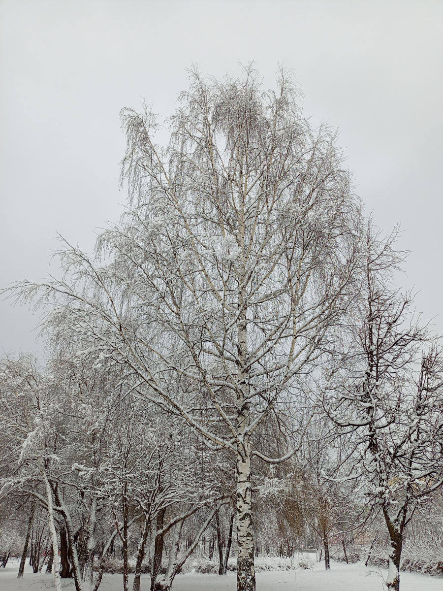 Источник: личное фото:"красота какая..."