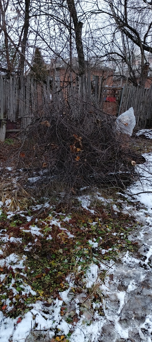 Жечь не пережечь 🤭