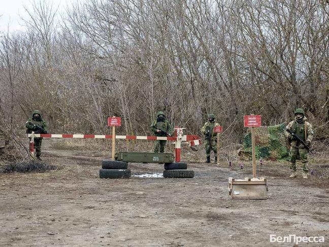 Фото: Павел Колядин