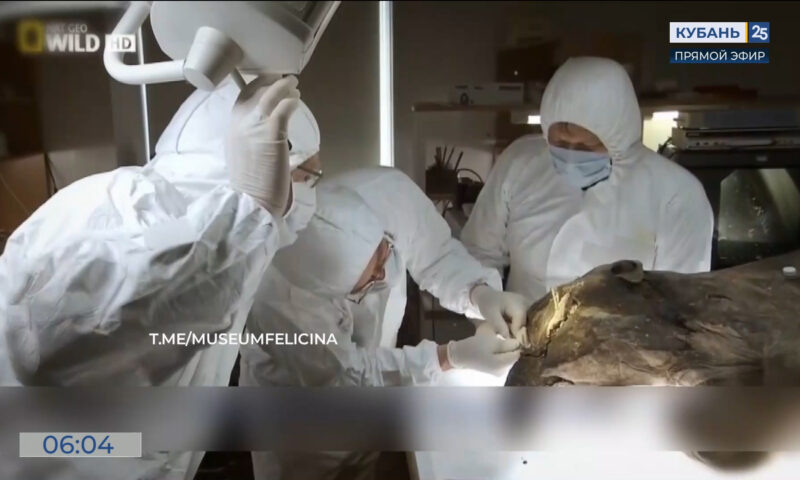    Видео канала «Кубань 24»