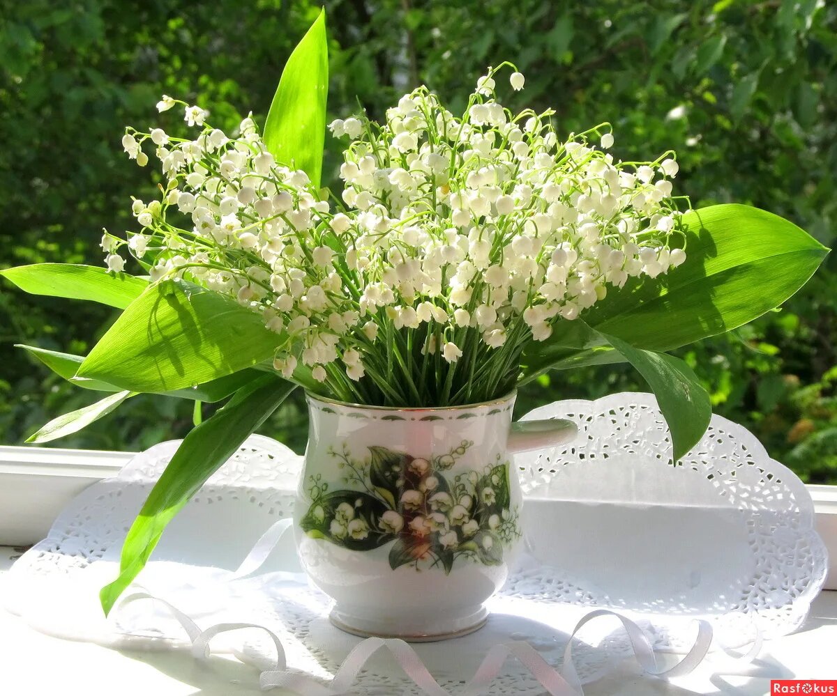 Это милое фото я нашла в интернете. Нежные ландыши, освещенные солнцем. 