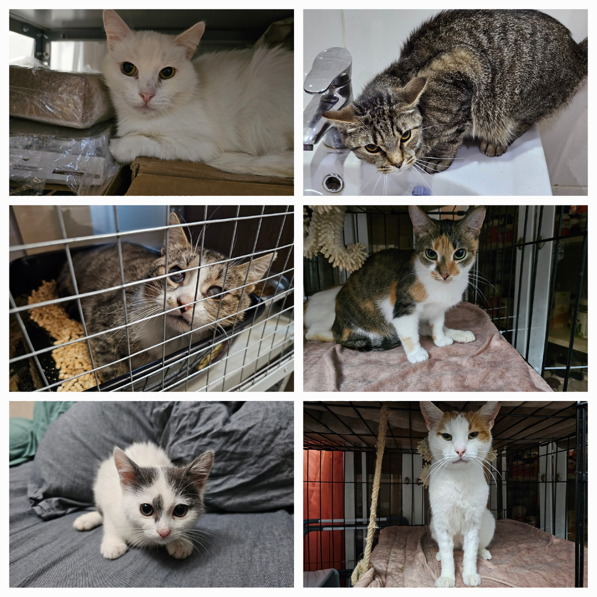 Малыши приюта, которые сейчас проходят лечение от ФИП