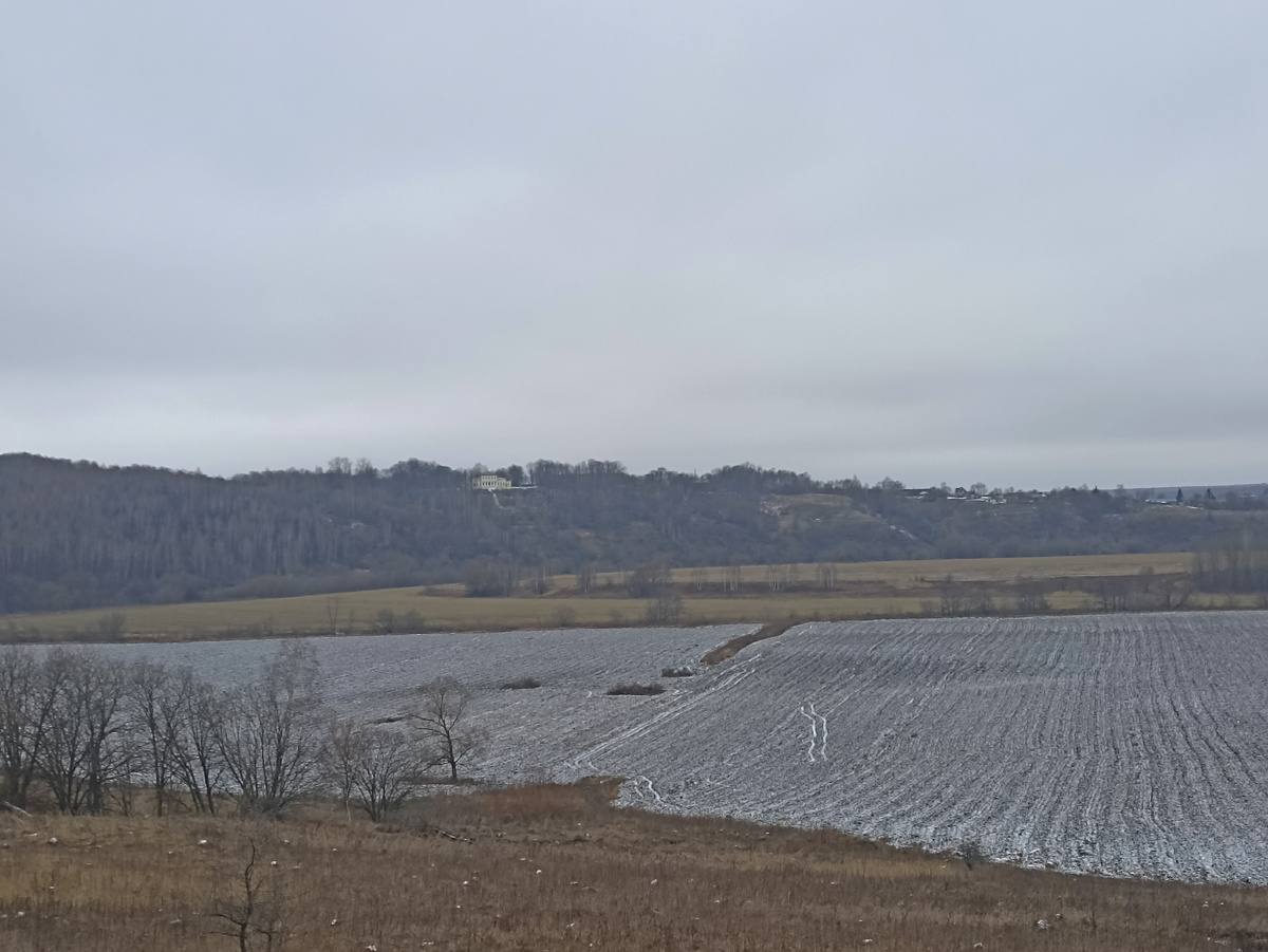 На фото вид на усадьбу с трассы Тула-Белев