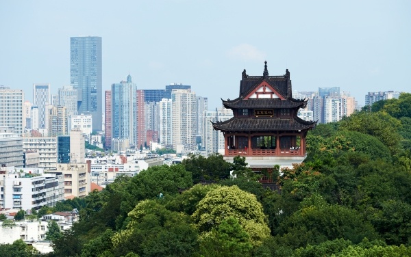 Фото: РИА Новости/Анна Раткогло