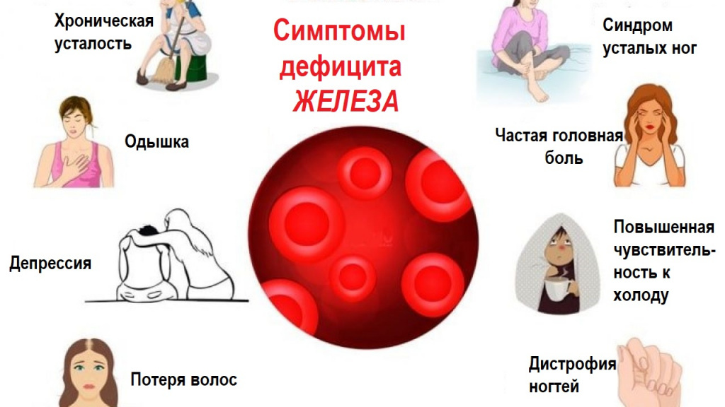 фото источник invitro.ru