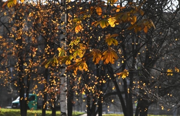 Фото: РИА Новости/ Владимир Федоренко