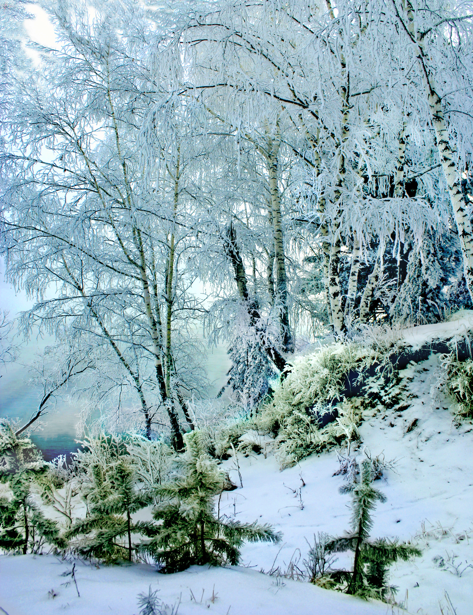 Фотография, стихотворение Василия Глукого