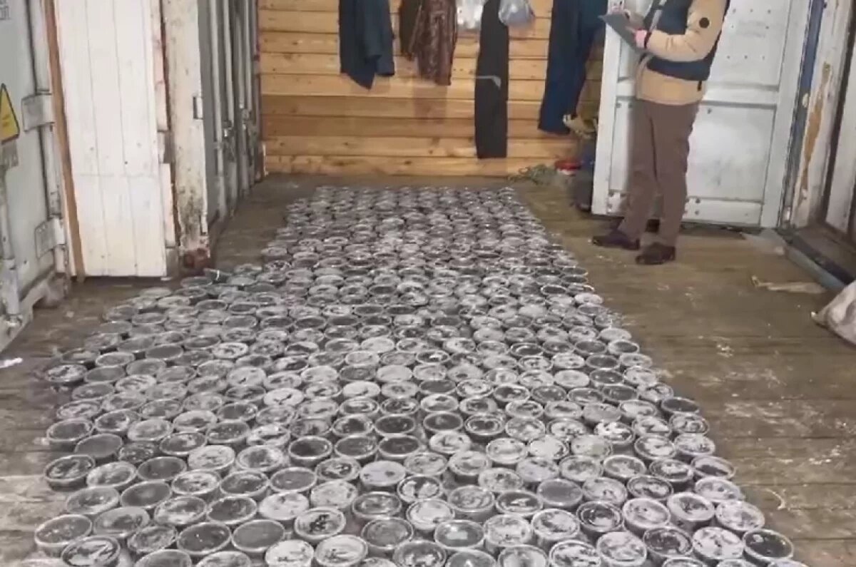    519 контейнеров чёрной икры могут обернуться тюрьмой для двух хабаровчан