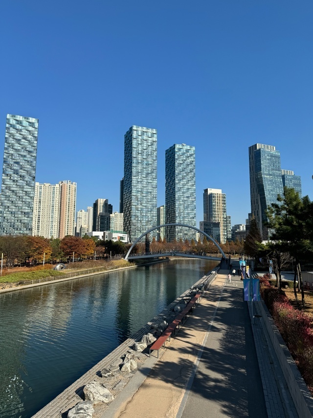 #Корея #Сеул #ЮжнаяКорея 