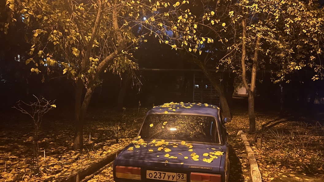    Фото: Царьград