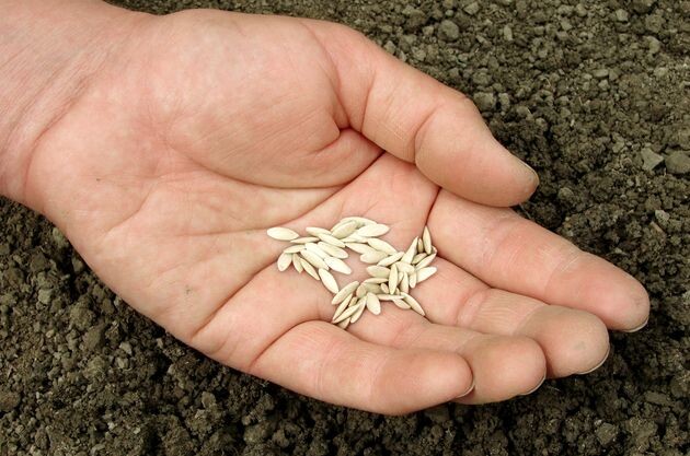  малая селекция 