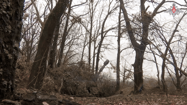    Расчёты САУ "Акация" уничтожили замаскированный взводный опорный пункт с личным составом и бронетехникой ВСУ//Скриншот страницы с официального ТГ-канала Минобороны