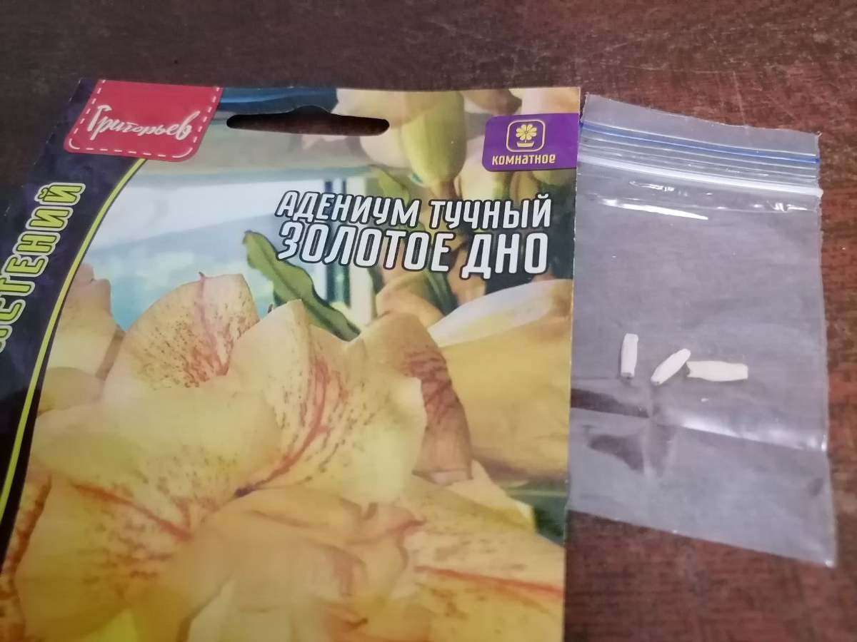 Захотела желтый адениум, так как розовых и красных комнатных у меня хватает, фото автора