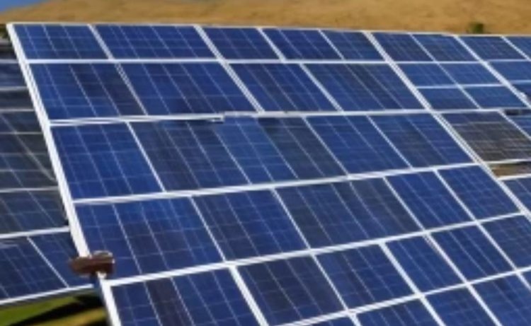    Агровольтаизм во Франции: новый проект на 65 миллионов евро