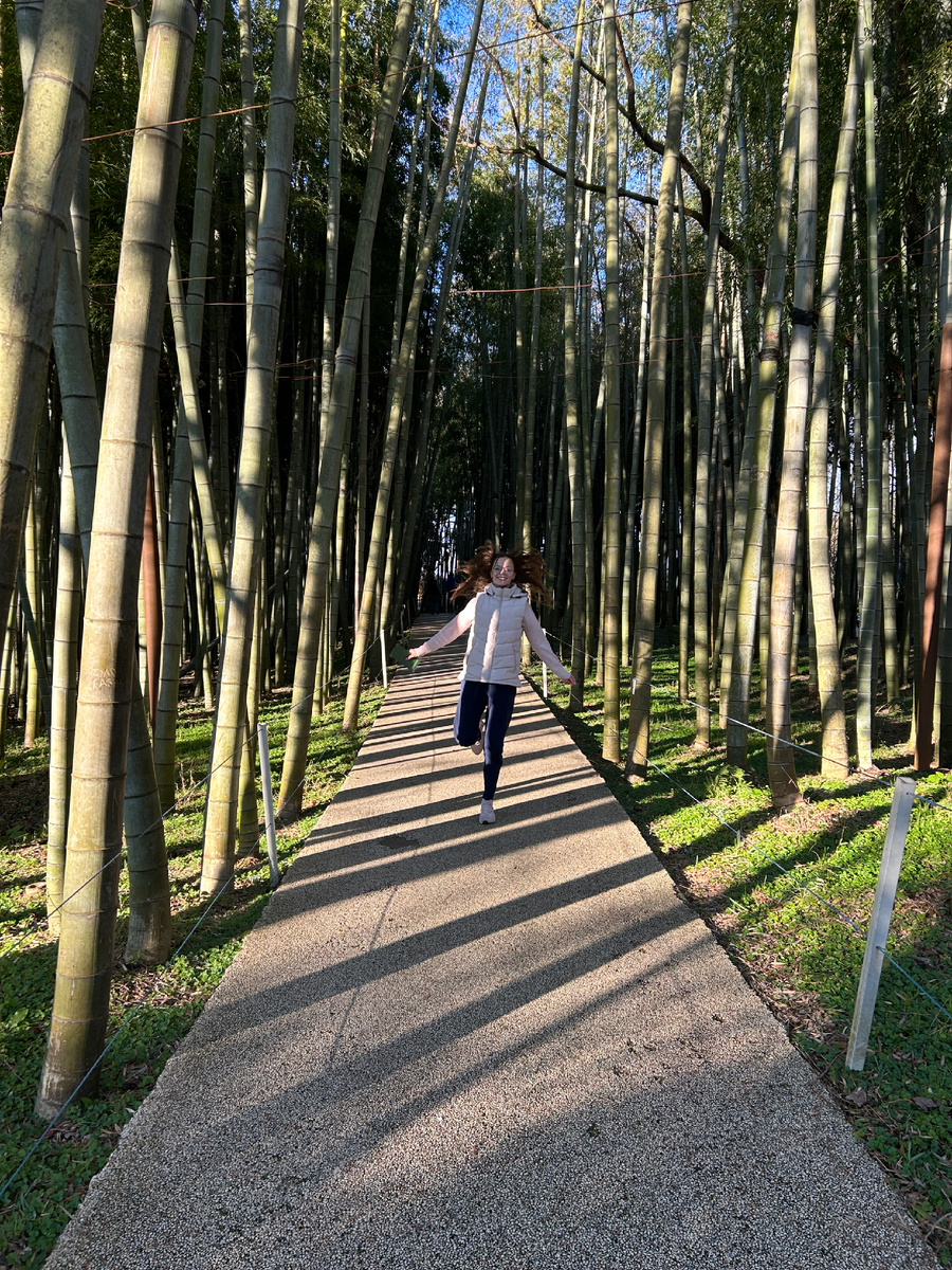 Счастливый человек на бамбуковой аллее