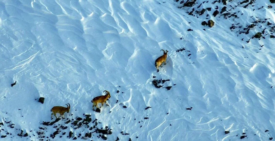    Фото: Минприроды России