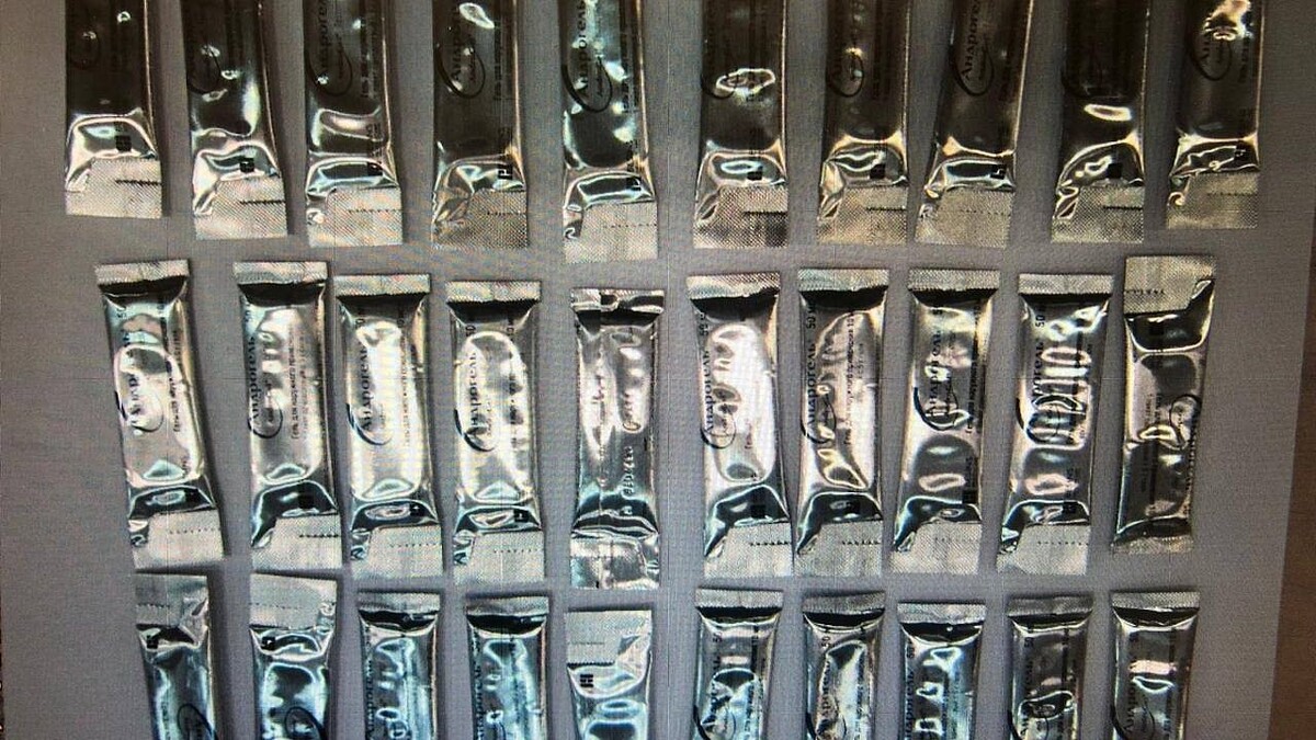    Фото: пресс-служба Южной оперативной таможни