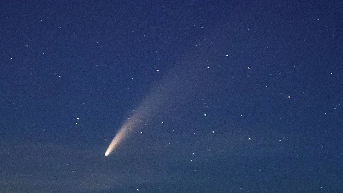 Фото Pexels/Frank-Cone