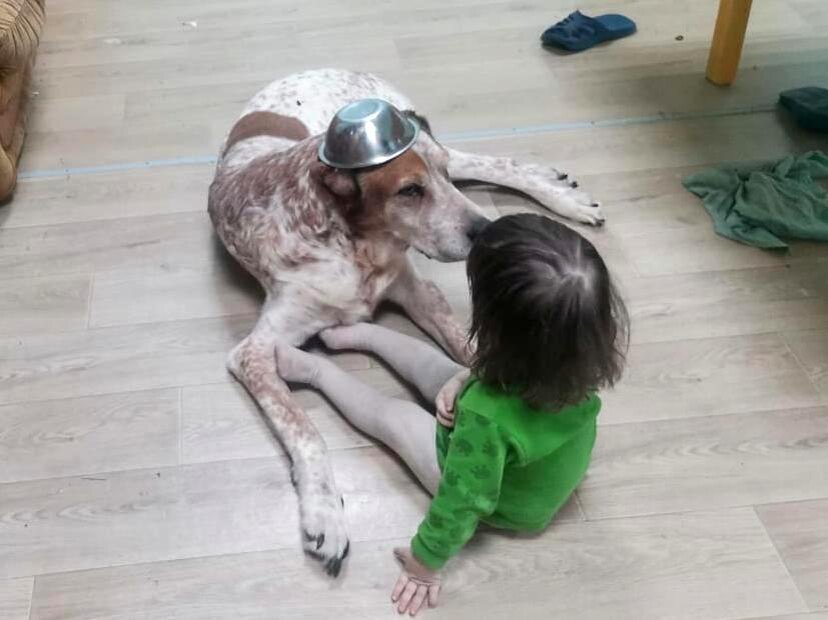 Пёс Бек и его маленькая хозяйка. Вместе веселее!