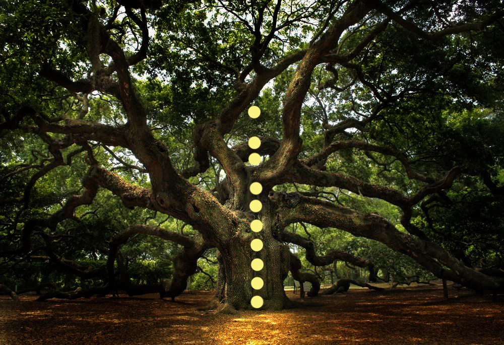 Обрубание негативных привязок и откачки энергии в роду