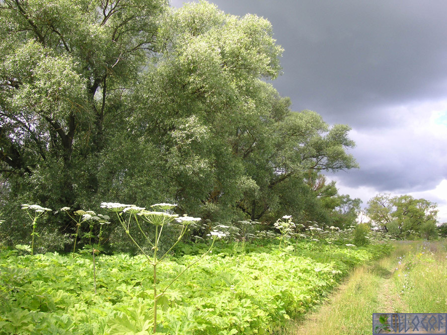Надвигаются тучи