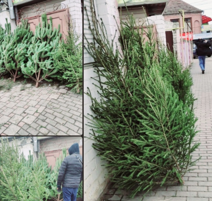 Фото Вика Курсова 