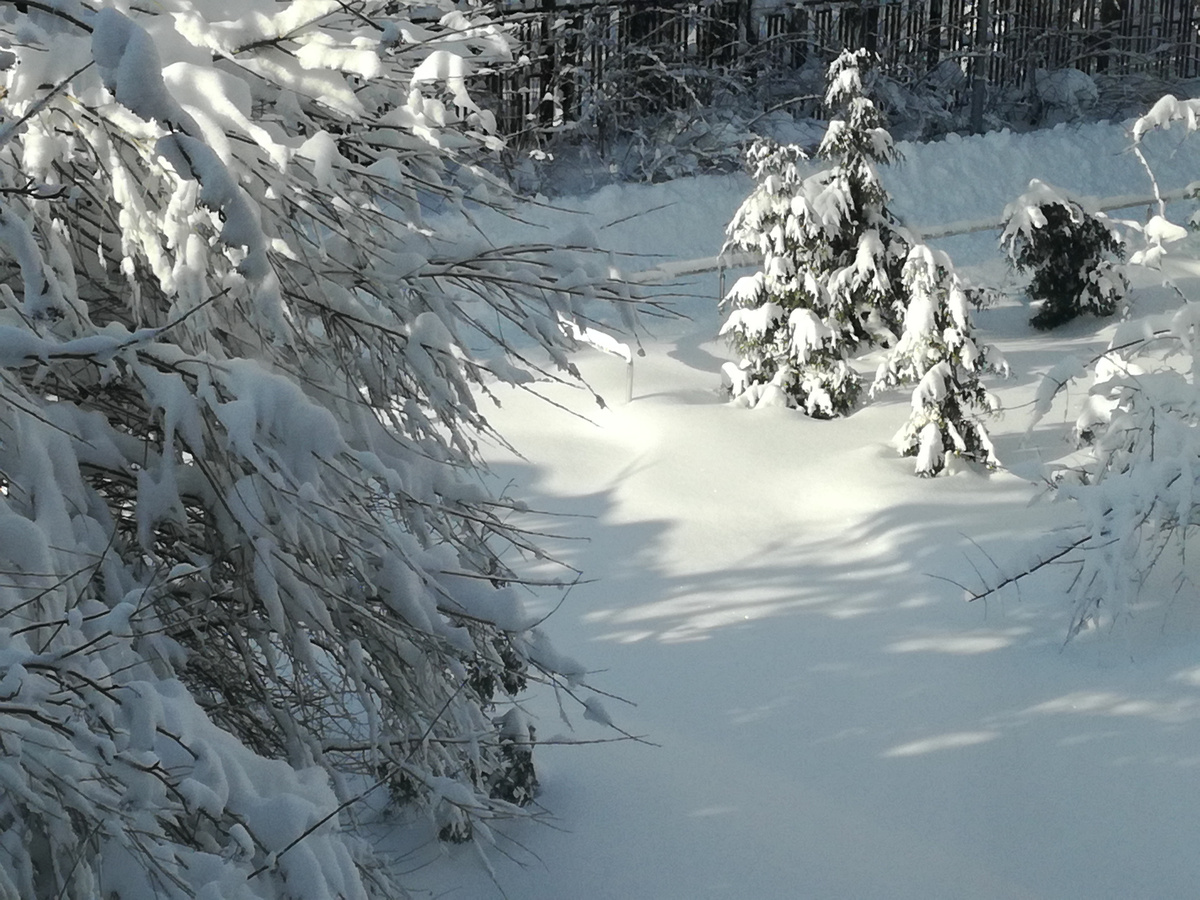 Фото личное