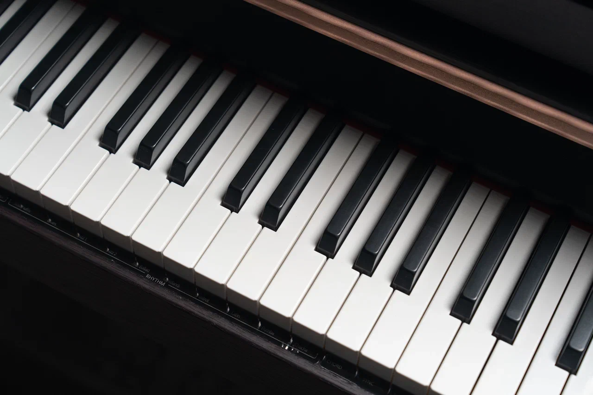 Цифровое фортепиано Antares W-500 BR