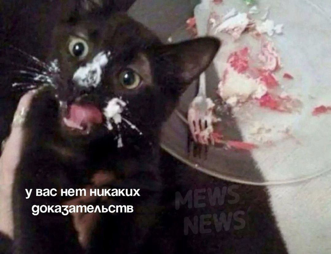 Согласно вотемарке авторство изображения https://vk.com/newsmews