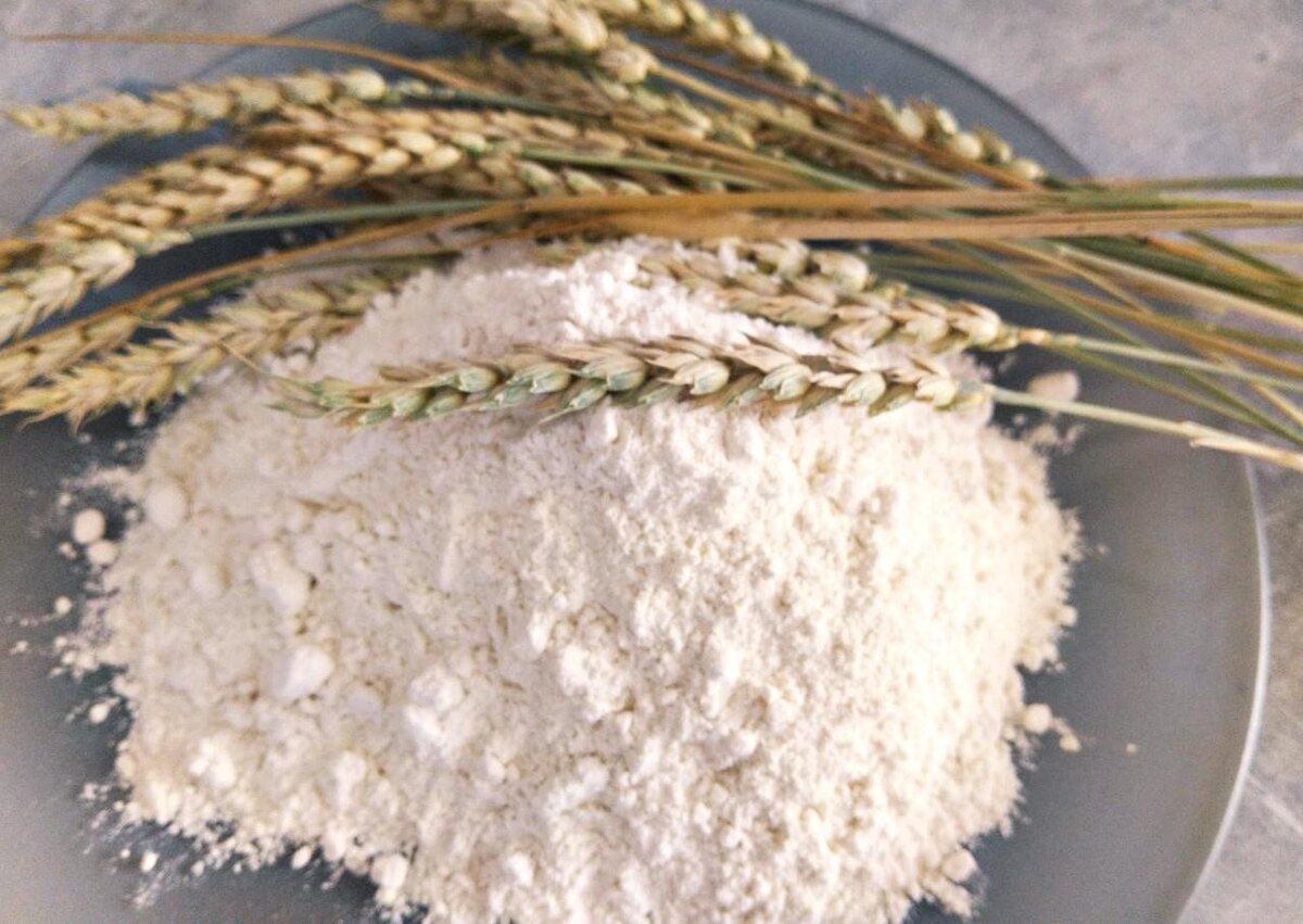 Фото: АПК Новости