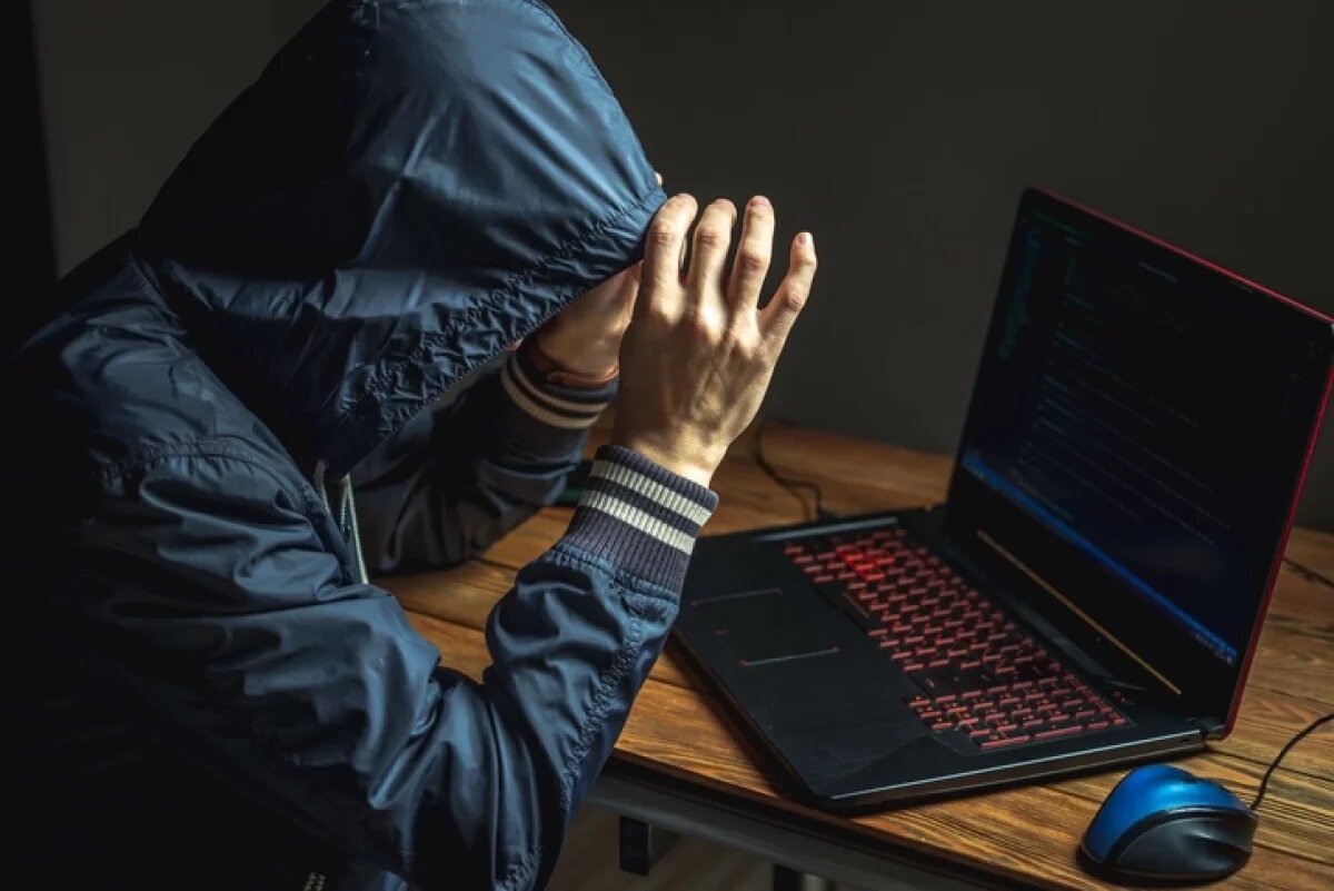    Эксперт Липов: мошенники обманывают жертв в мессенджерах с помощью гифок