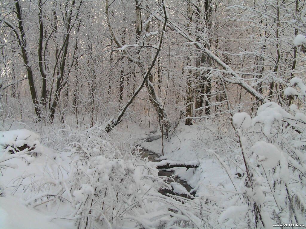 Фото личное