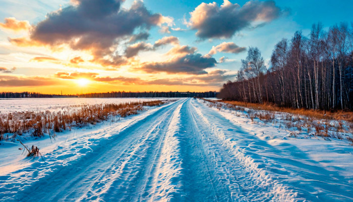 Дороги на Руси зачастую прокладывали всей деревней. Фото: shedevrum.ai