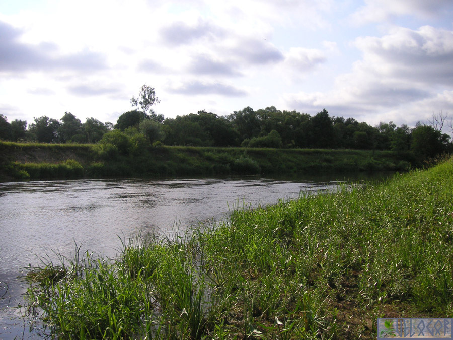 Река Жиздра в районе Подборок