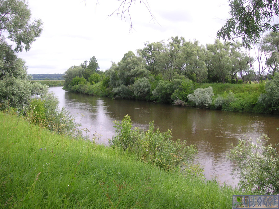 Река Жиздра у села Подборки