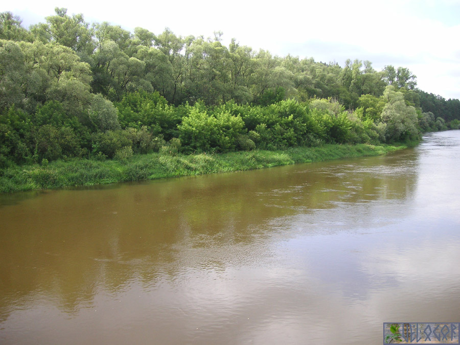 Река Жиздра