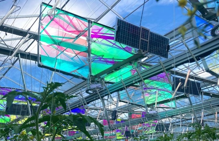    Технология спектральной фильтрации и что она означает для теплиц энергетического перехода