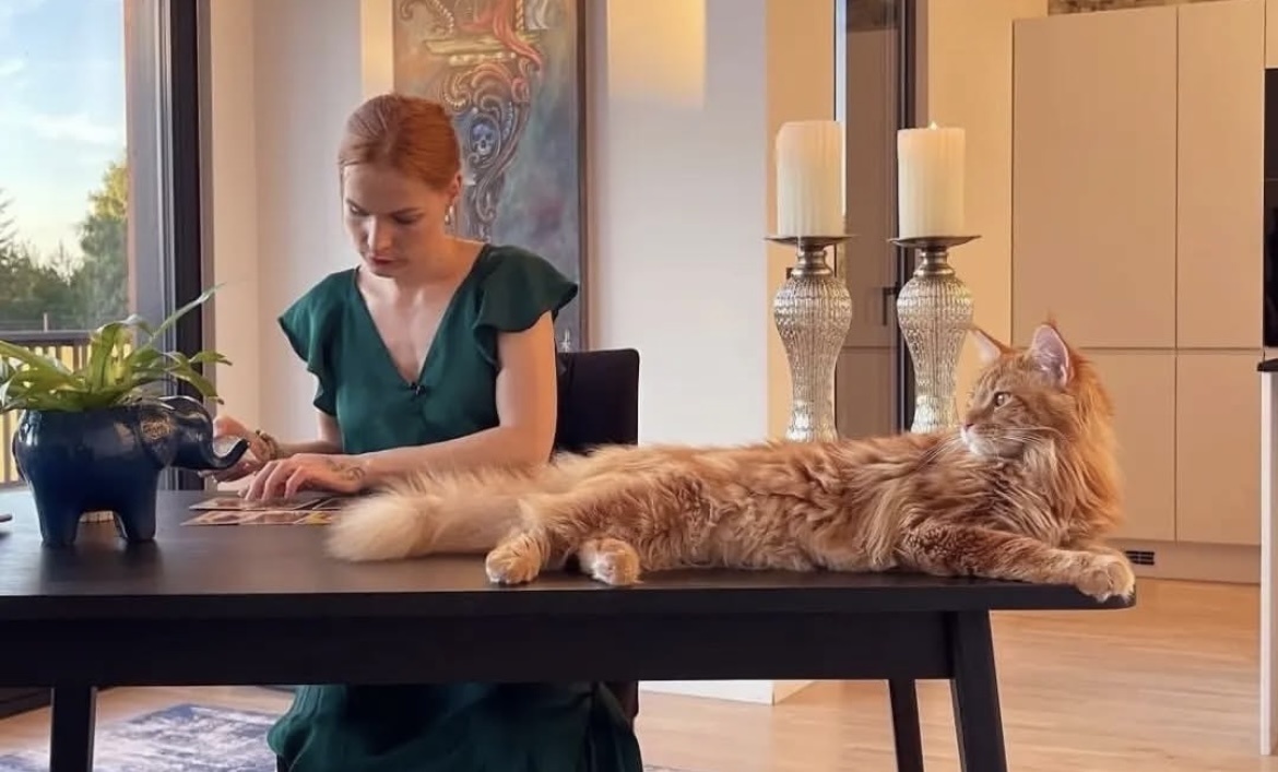 Мерилин Керро.