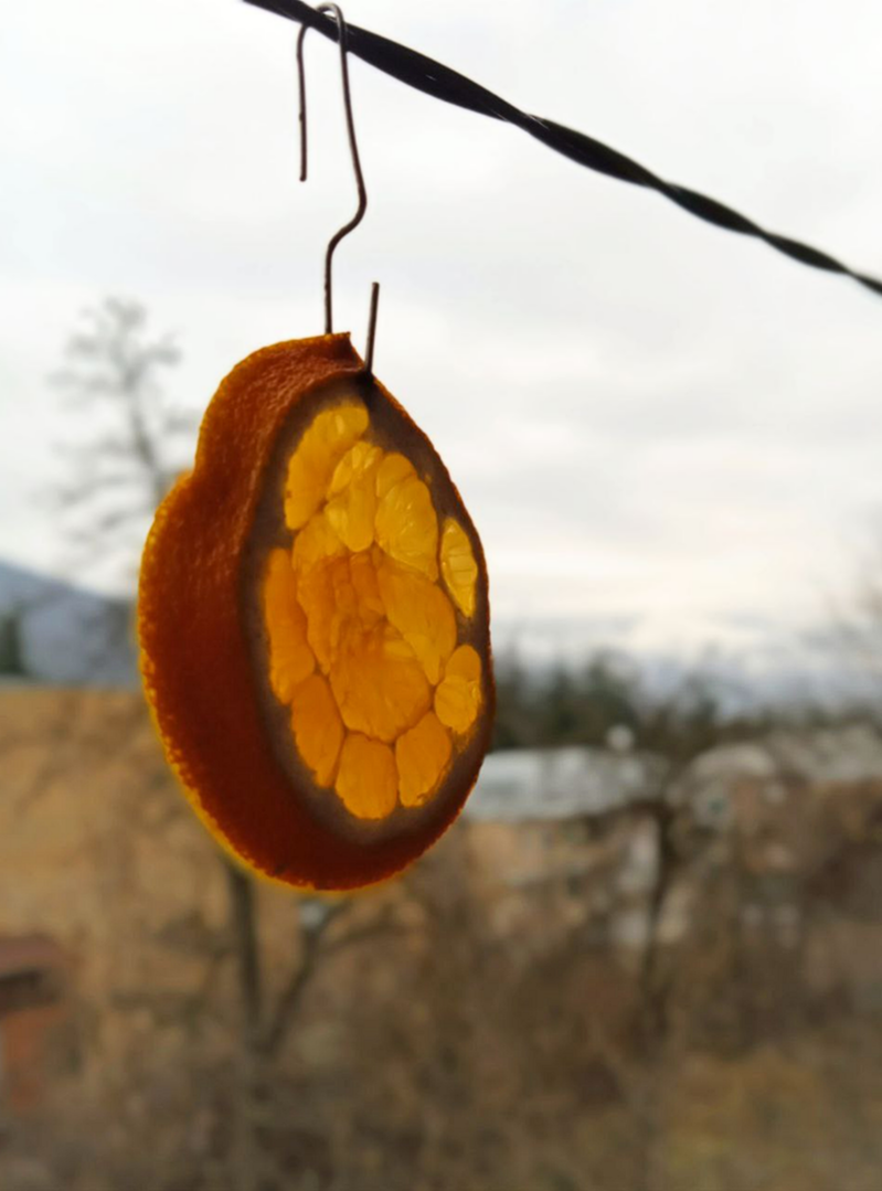 Апельсинки мои прекрасно подсохли на балконе, занесла в дом - пусть доходят в тепле. 